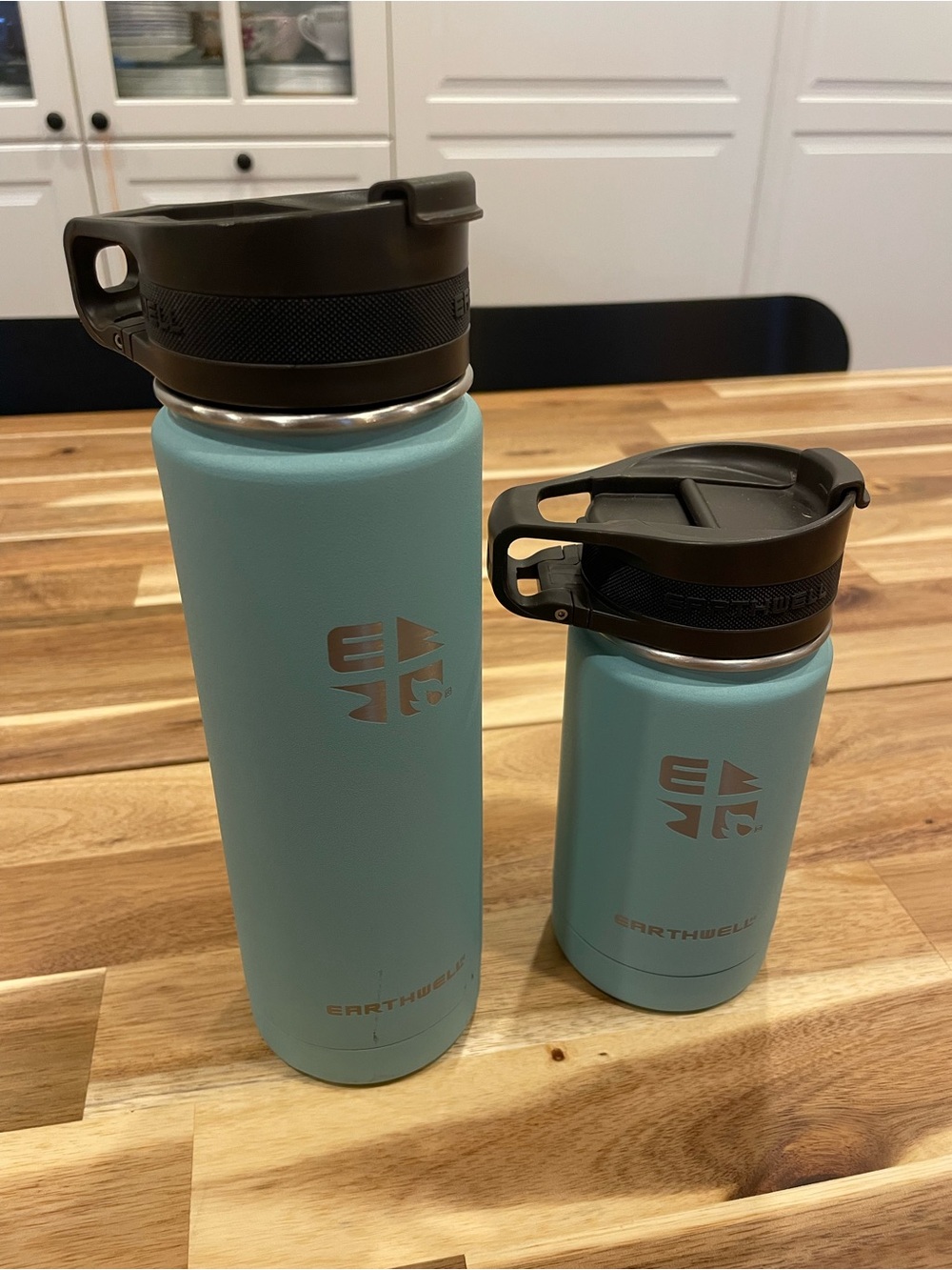 Earthwell Roaster Powder-Coated Light Blue Insulated Bottle - set of 2